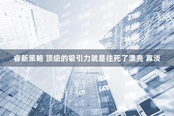 睿新策略 顶级的吸引力就是往死了漂亮 寡淡